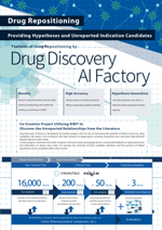 flyer_DDAIF