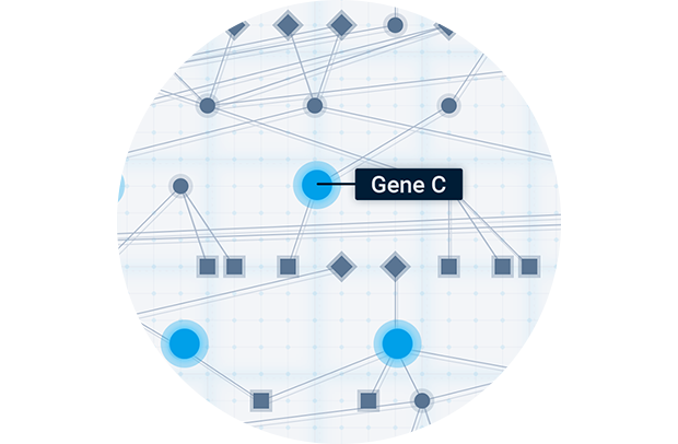 Gene network
                                                